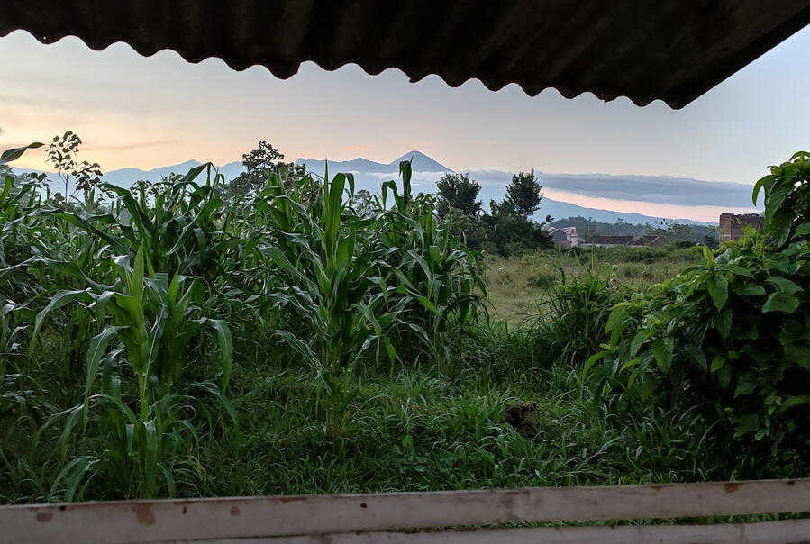 Semeru dari gubuk Mt. Semeru far in the background.